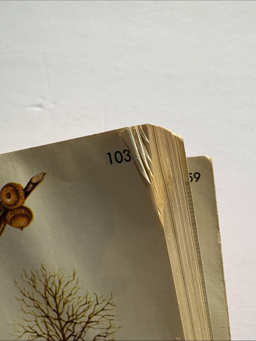 Compact field guide - Picture 6 of 8